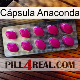 Cápsula Anaconda 09